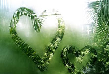 斯卢茨基:申花没法像川崎国内联赛全替补 不被看好但一切皆可能.