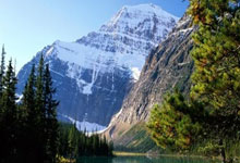 虎扑体育官网:哈兰德:现在要确保欧冠席位,并做些能做到的事比如赢得足总杯.